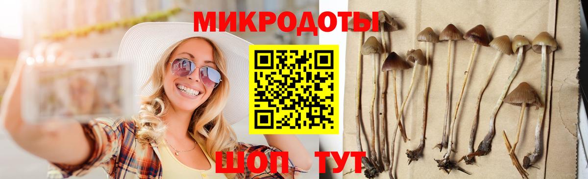 Псилоцибиновые грибы мицелий  Вход с VPN  Псилоцибиновые грибы GOLDEN TEACHER  Нижневартовск 