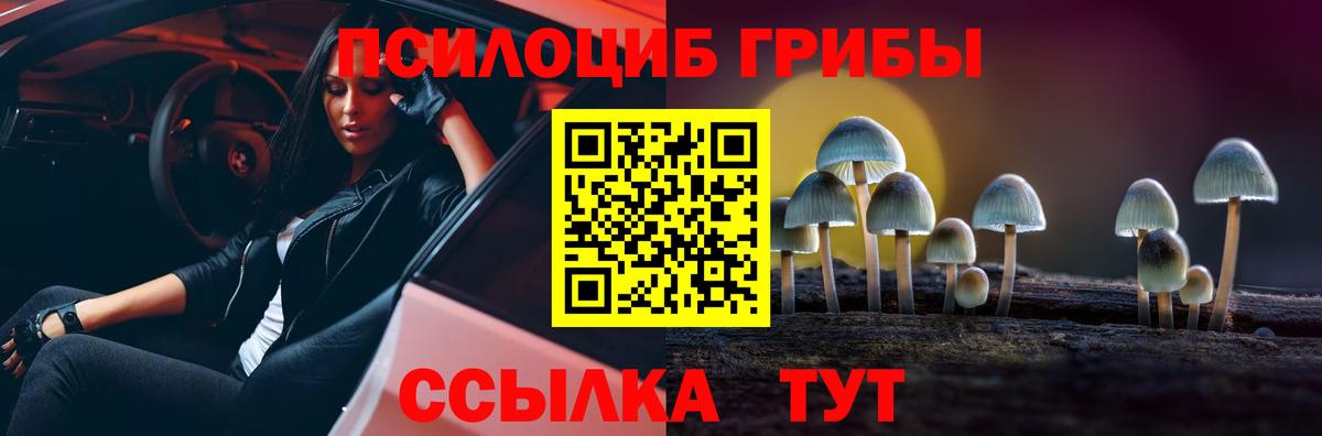 Галлюциногенные грибы Magic Shrooms Нижневартовск